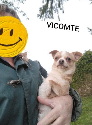 VICOMTE 